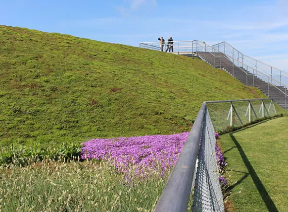 Grønne tage