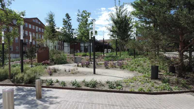 Regnvandshåndtering