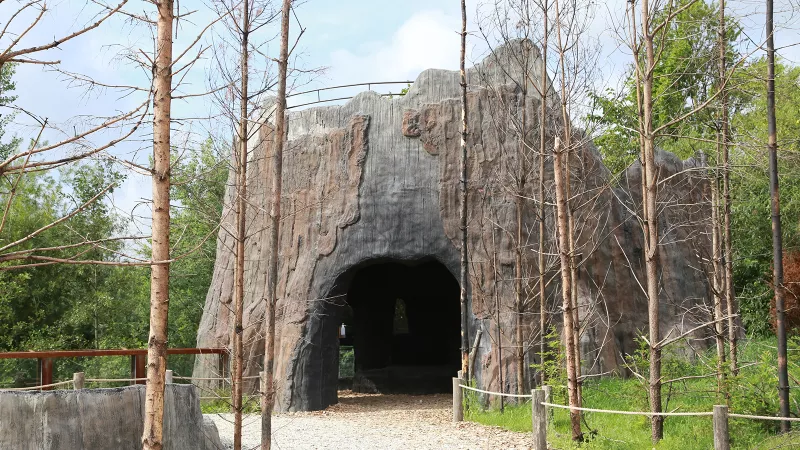 RandersRegnskov
