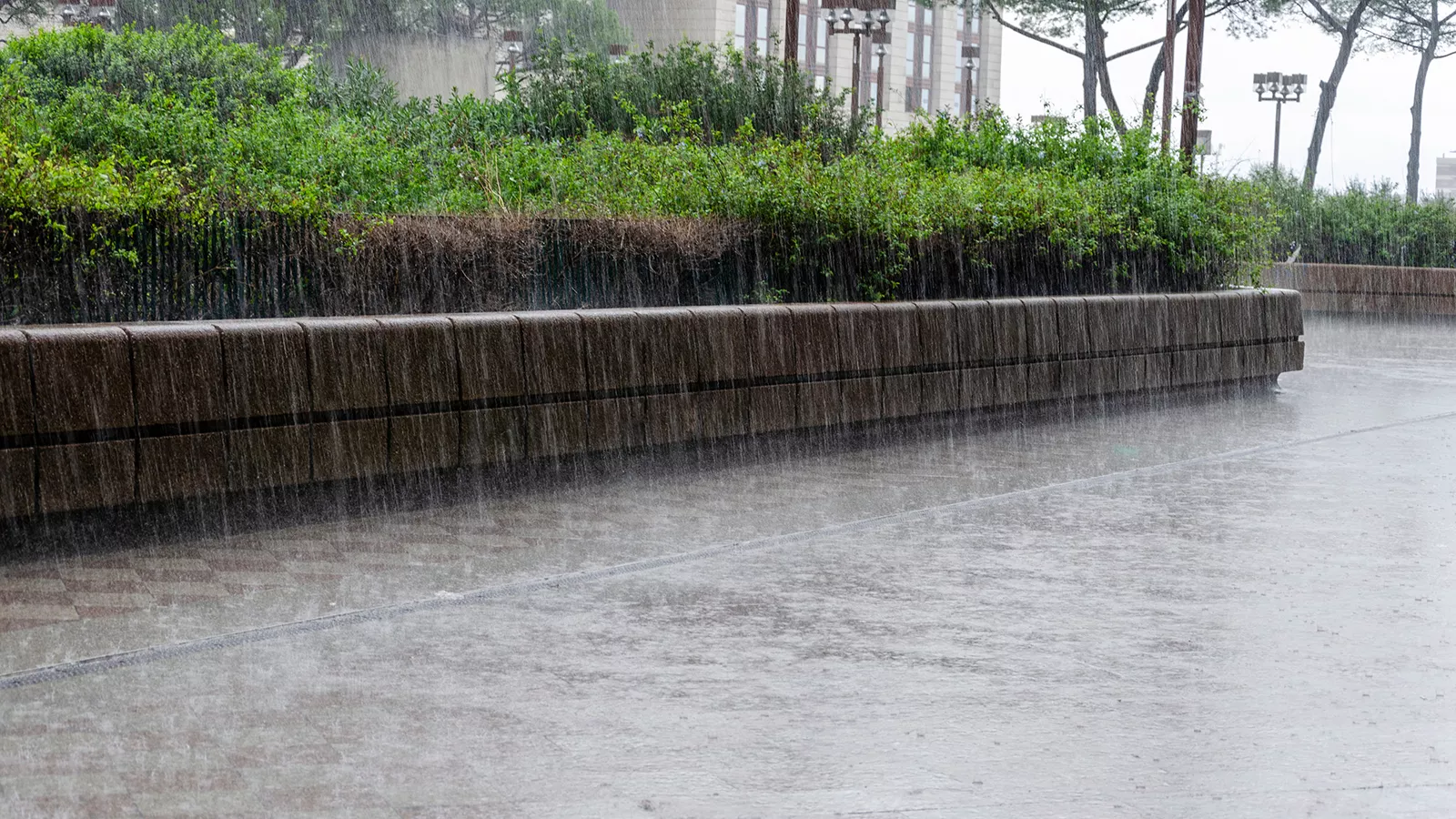 water management