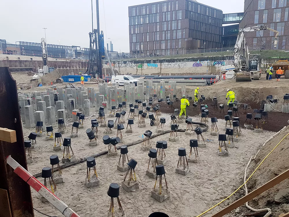 Kaktustårnene