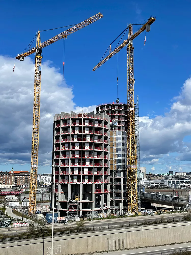 Kaktustårnene