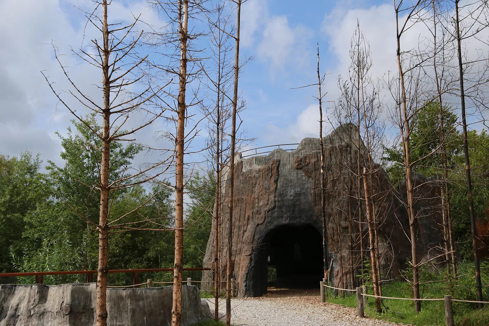 RandersRegnskov